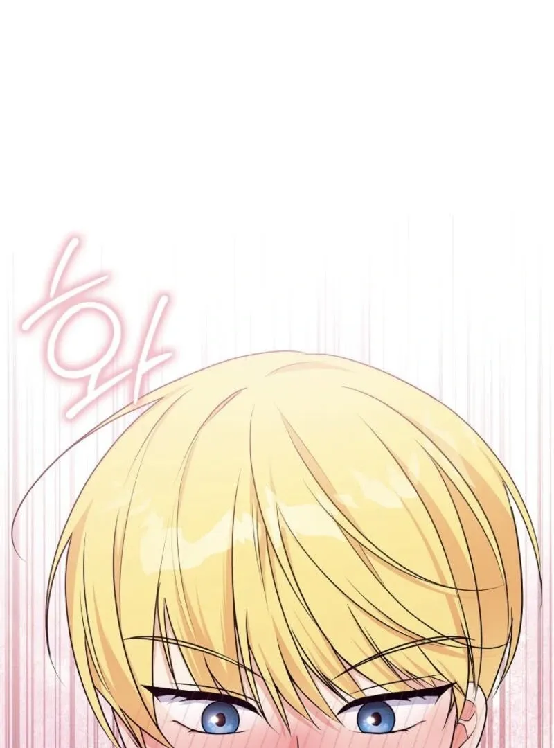 I Became The Male Leads’ Target Chapter 10 page 63 - 