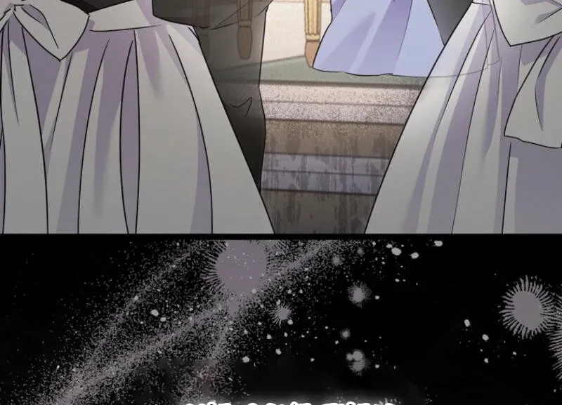 I Became The Male Leads’ Target Chapter 11 page 25 - 