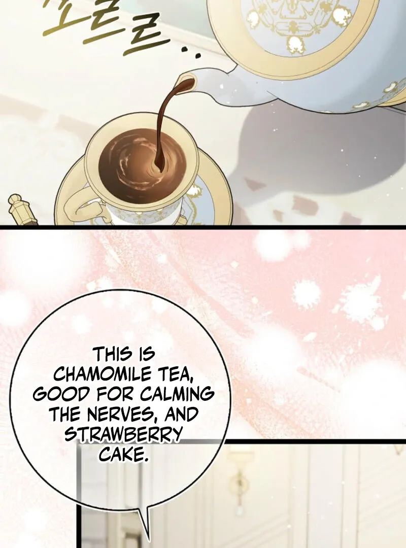 I Became The Male Leads’ Target Chapter 13 page 20 - 