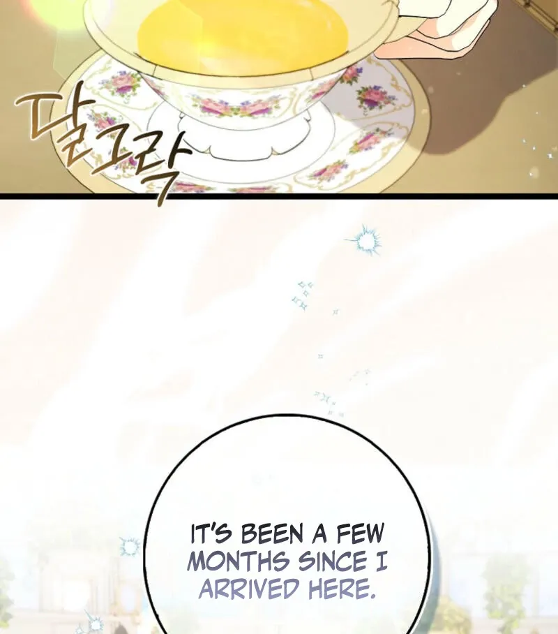 I Became The Male Leads’ Target Chapter 13 page 86 - 
