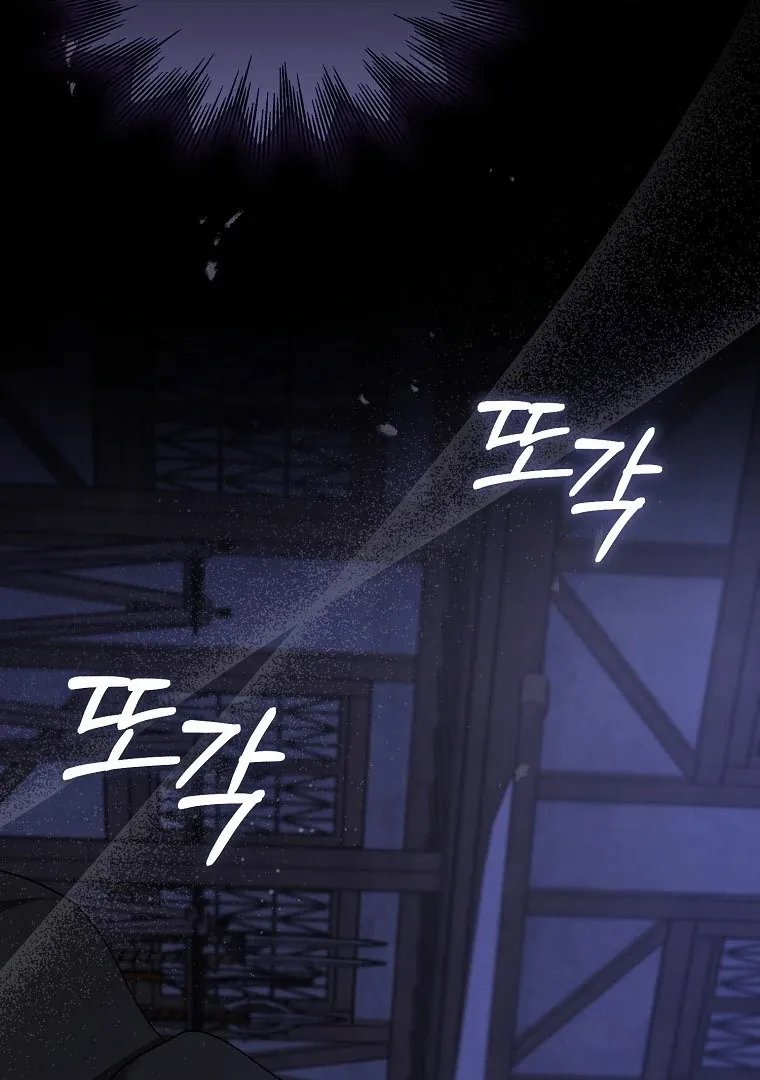 I Became The Male Leads’ Target Chapter 14 page 64 - 