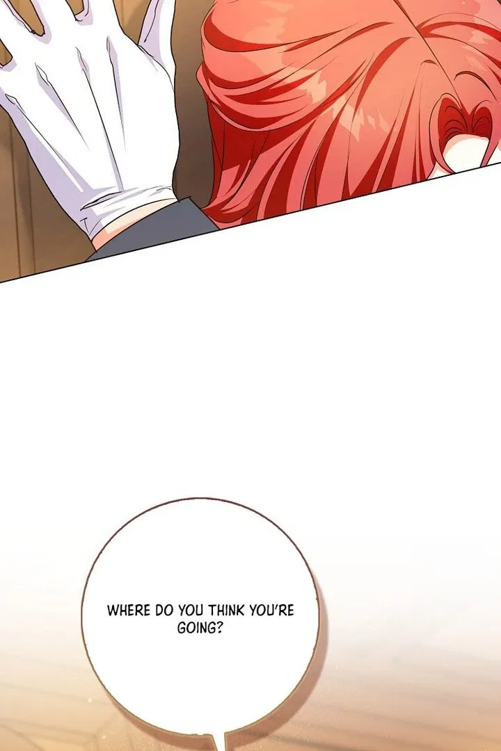 I Became The Male Leads’ Target Chapter 16 page 102 - 