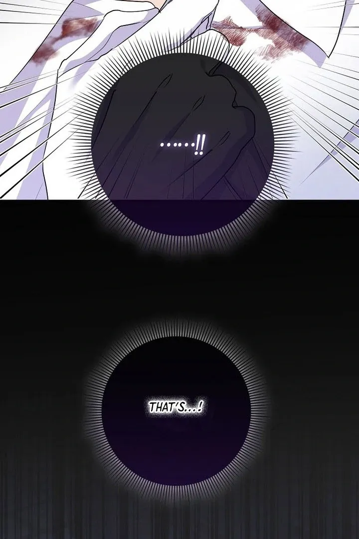 I Became The Male Leads’ Target Chapter 16 page 111 - 