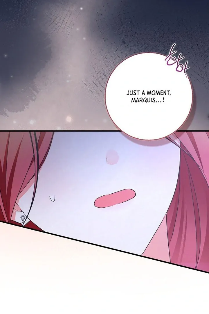 I Became The Male Leads’ Target Chapter 16 page 14 - 