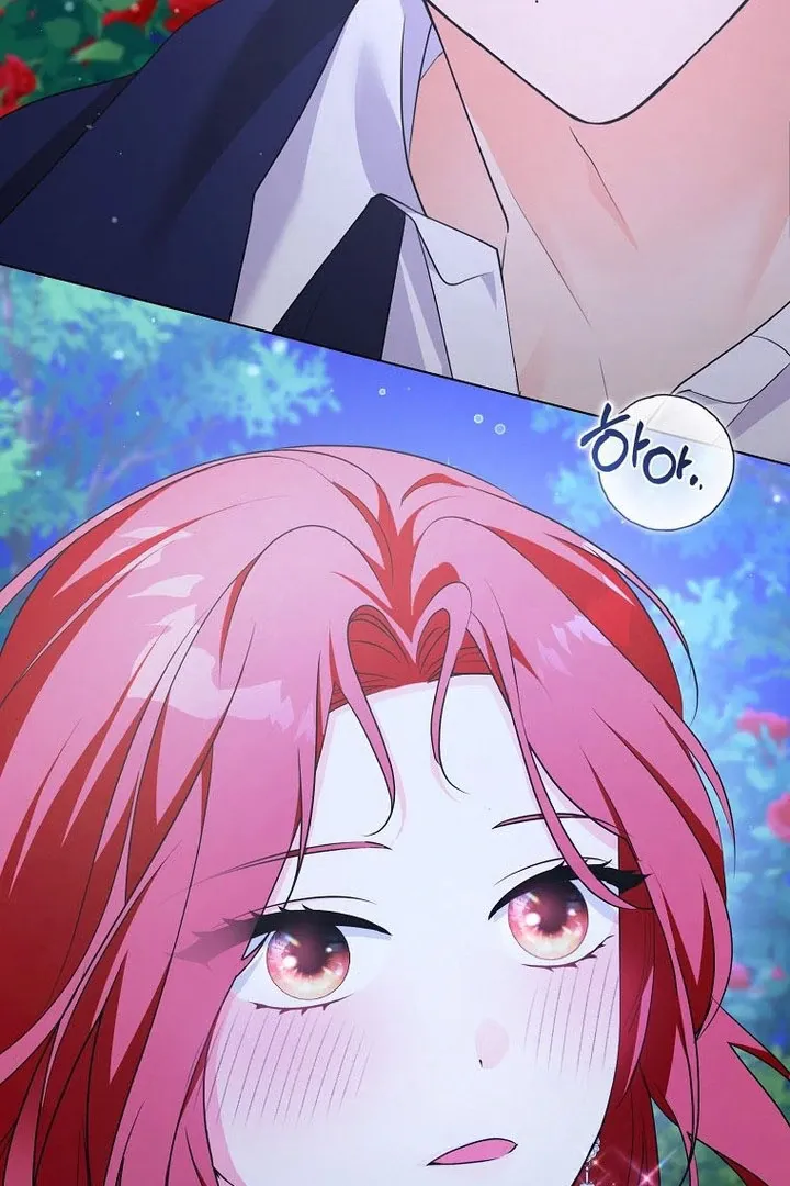 I Became The Male Leads’ Target Chapter 16 page 19 - 