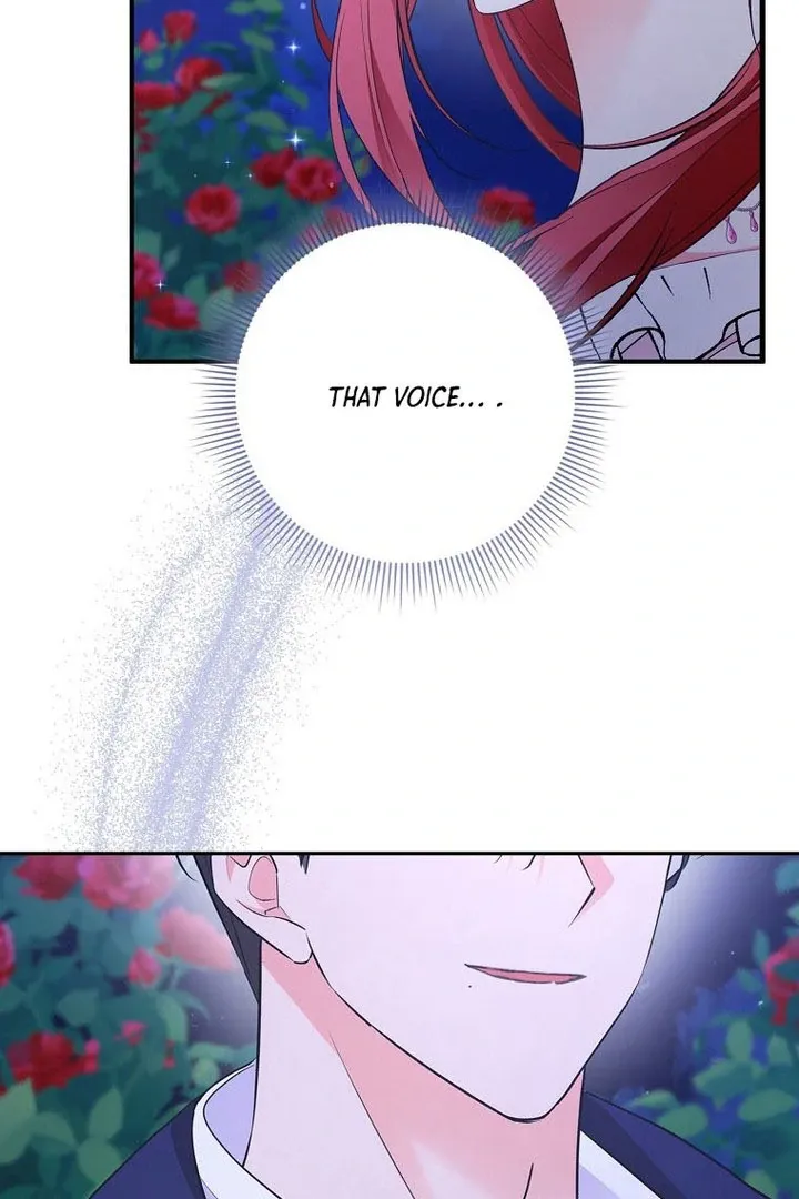 I Became The Male Leads’ Target Chapter 16 page 5 - 