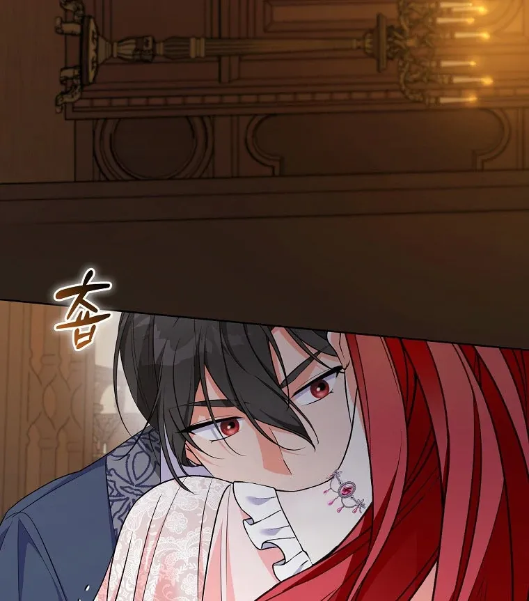 I Became The Male Leads’ Target Chapter 17 page 66 - 