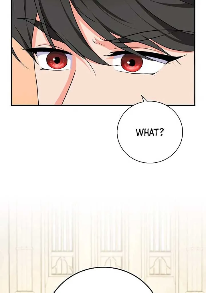 I Became The Male Leads’ Target Chapter 20 page 106 - 