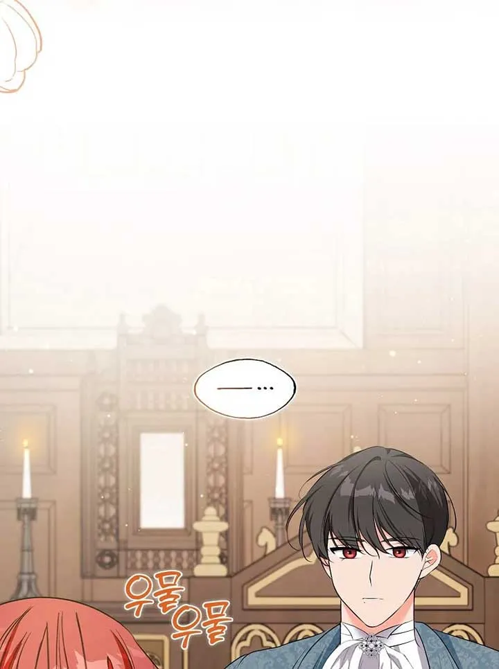 I Became The Male Leads’ Target Chapter 20 page 42 - 