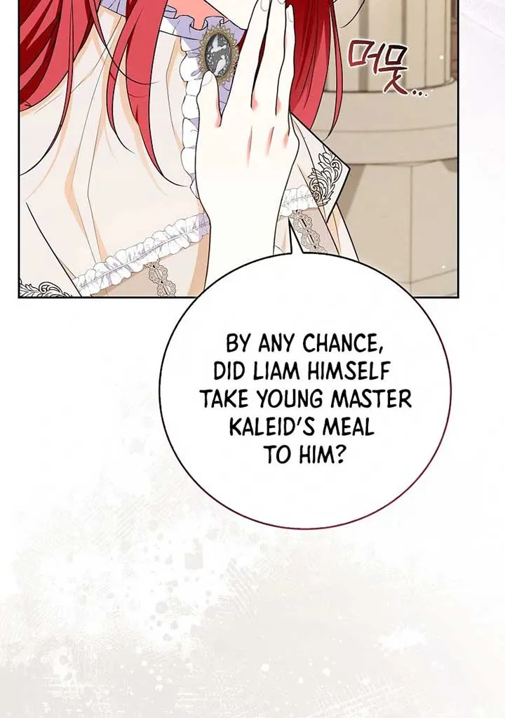I Became The Male Leads’ Target Chapter 20 page 45 - 