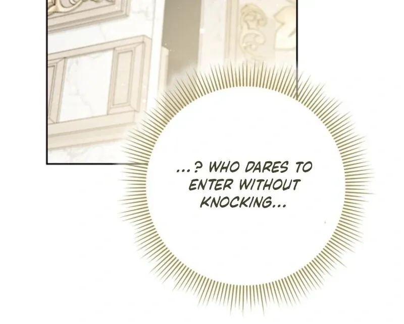 I Became The Male Leads’ Target Chapter 21 page 105 - 