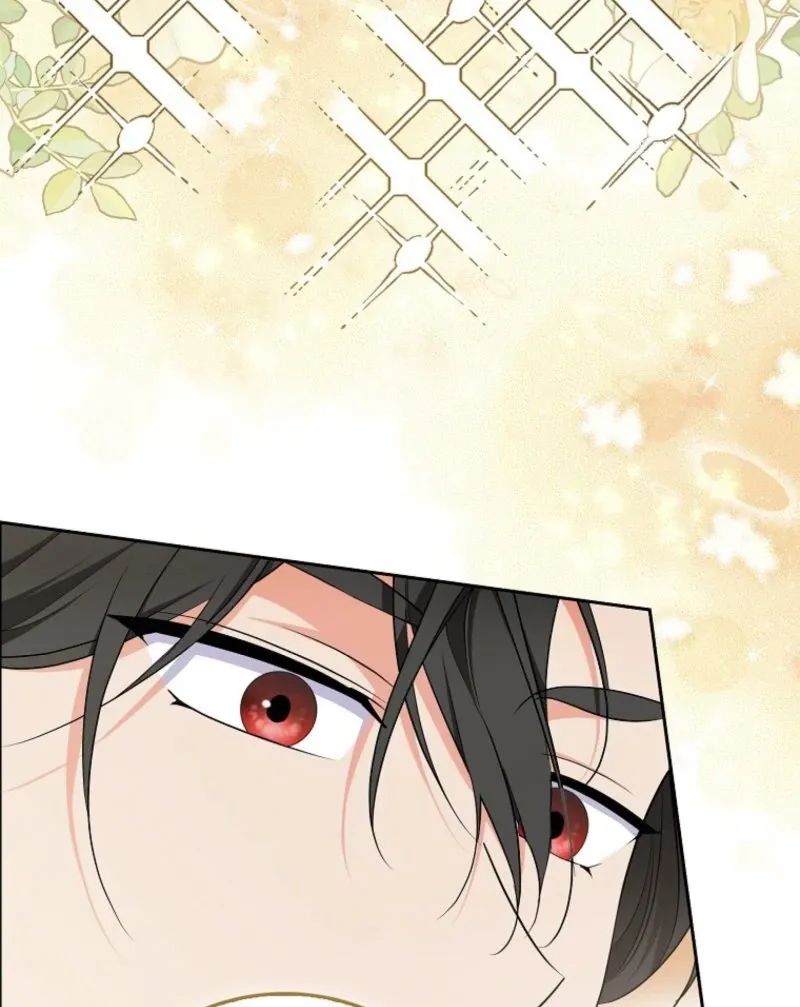 I Became The Male Leads’ Target Chapter 21 page 115 - 
