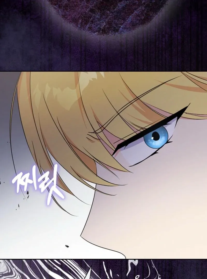 I Became The Male Leads’ Target Chapter 22 page 104 - 
