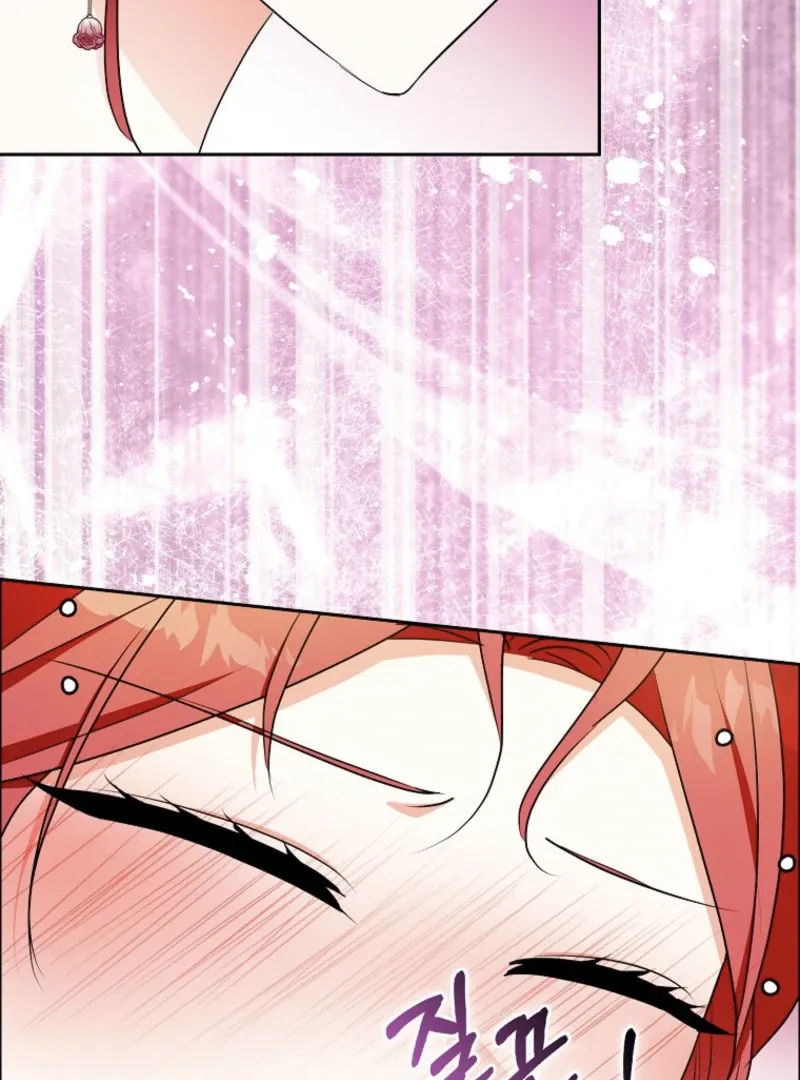 I Became The Male Leads’ Target Chapter 23 page 73 - 