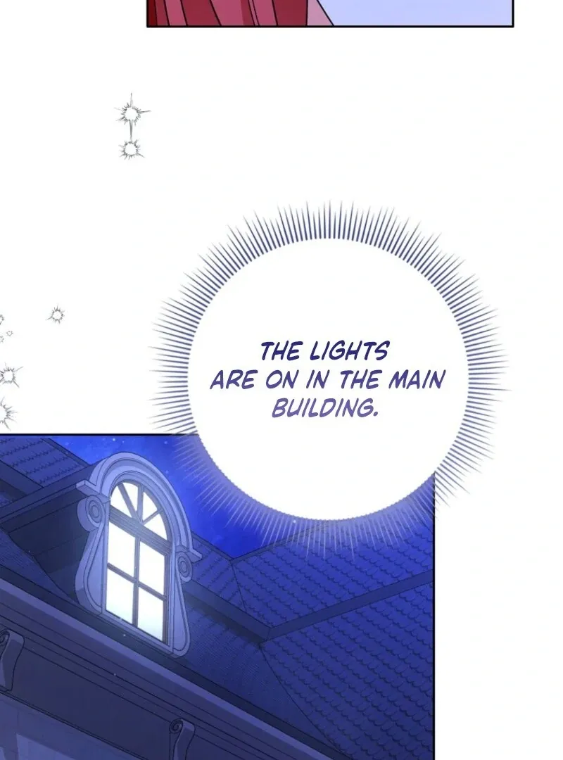 I Became The Male Leads’ Target Chapter 27 page 104 - 