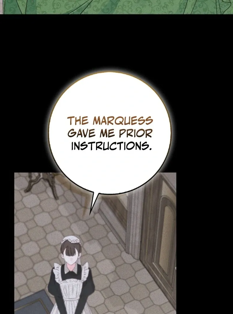 I Became The Male Leads’ Target Chapter 27 page 72 - 
