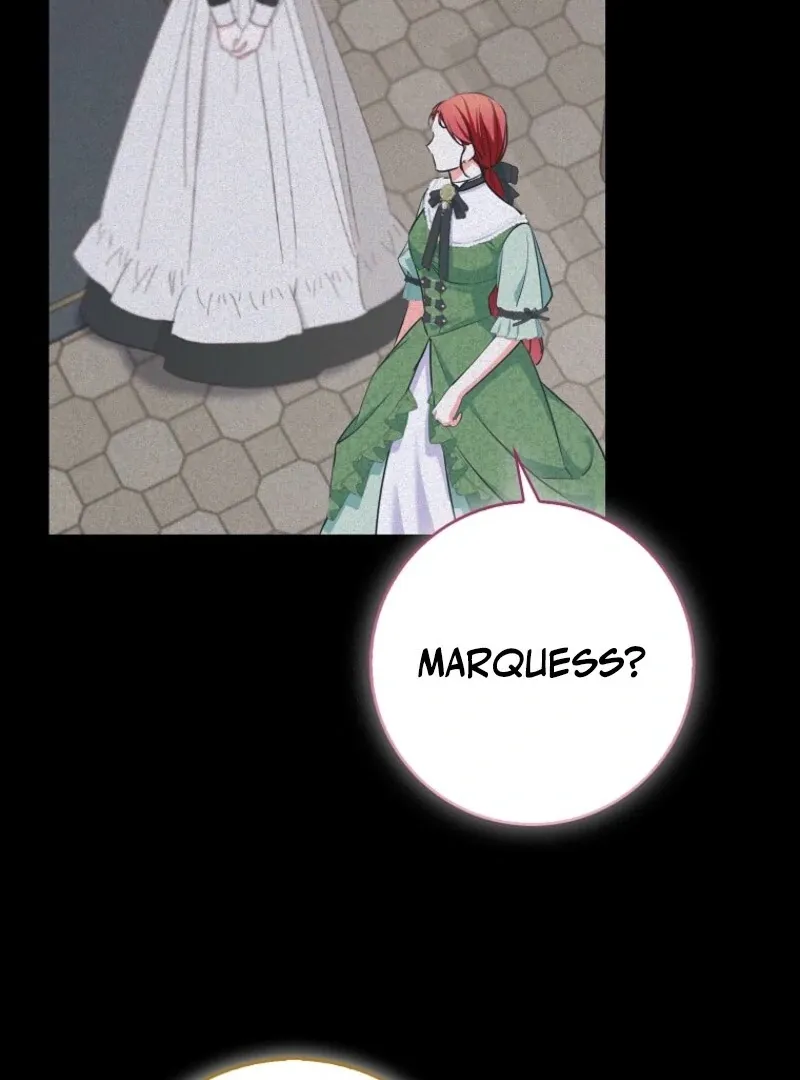 I Became The Male Leads’ Target Chapter 27 page 73 - 