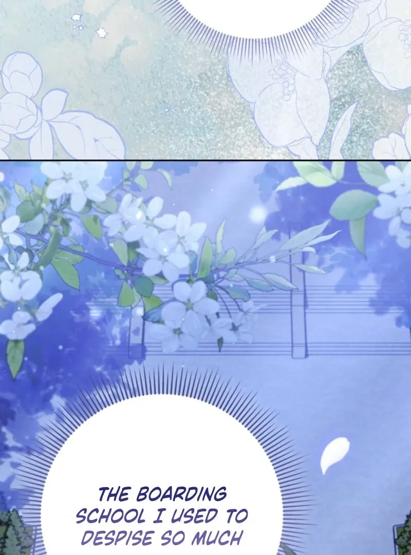 I Became The Male Leads’ Target Chapter 27 page 93 - 