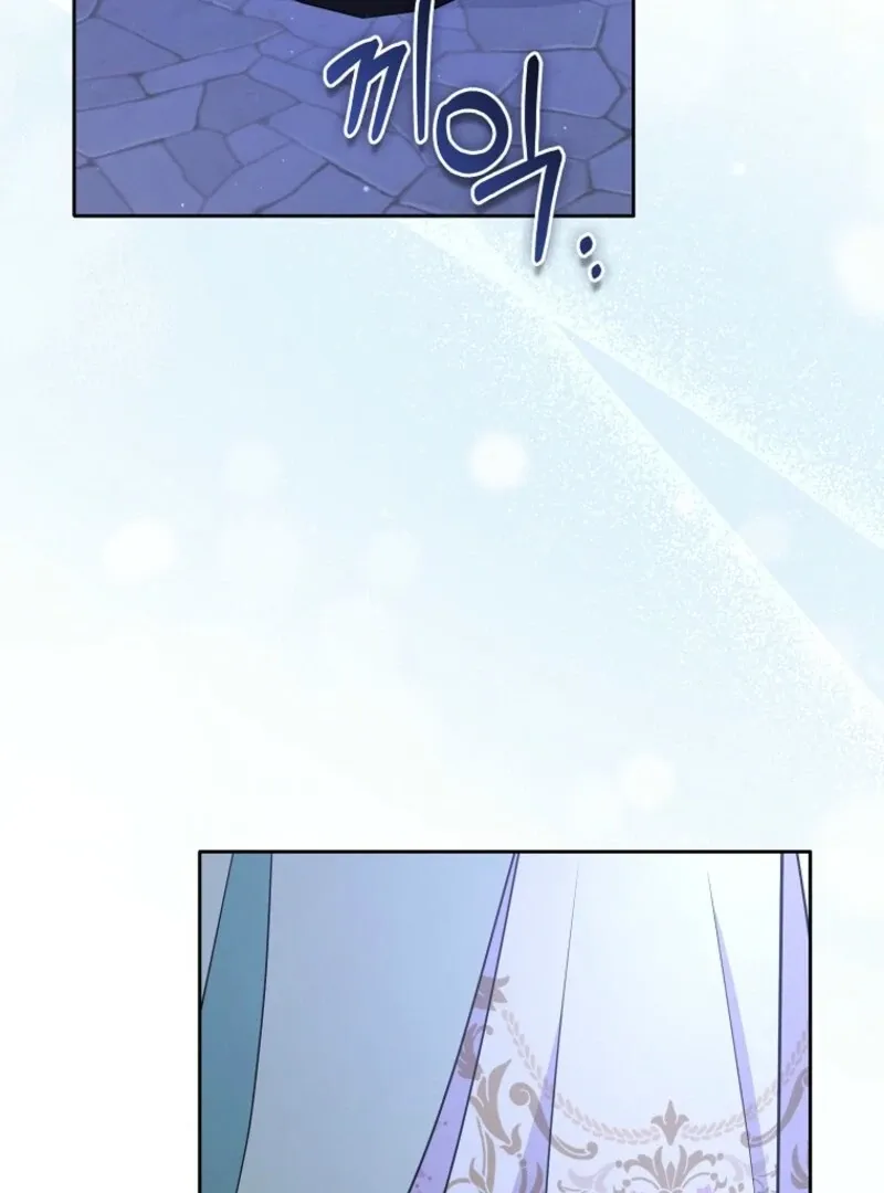 I Became The Male Leads’ Target Chapter 27 page 98 - 