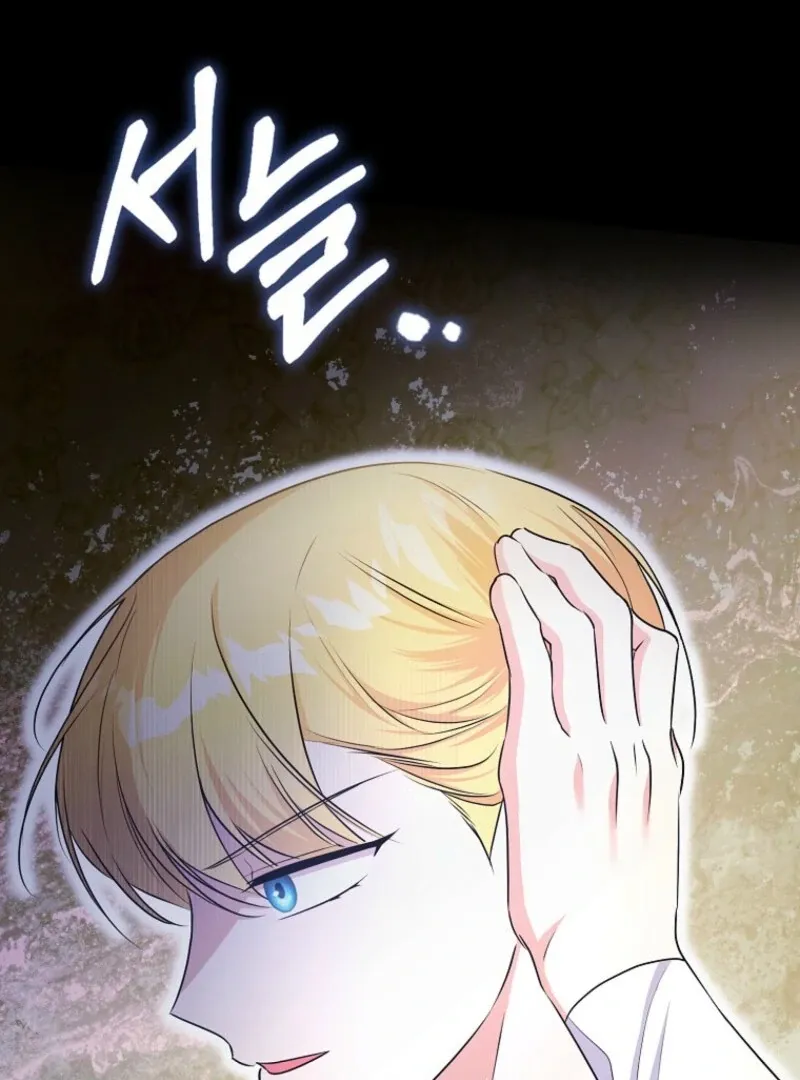I Became The Male Leads’ Target Chapter 28 page 112 - 