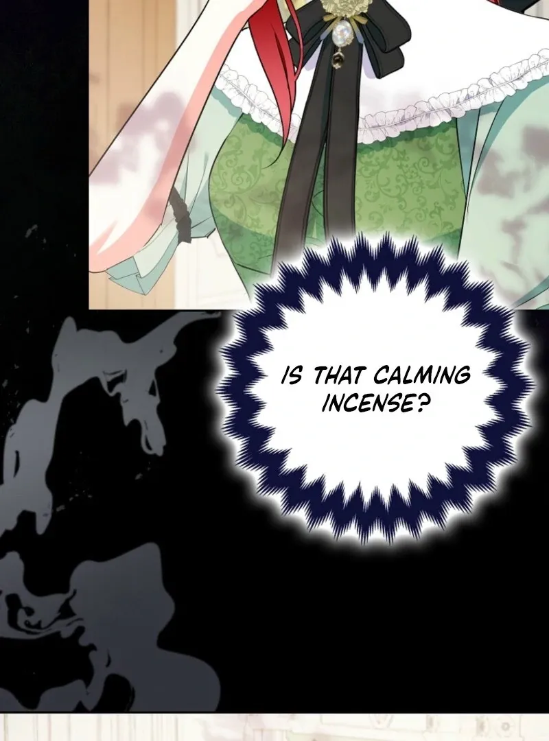 I Became The Male Leads’ Target Chapter 28 page 13 - 