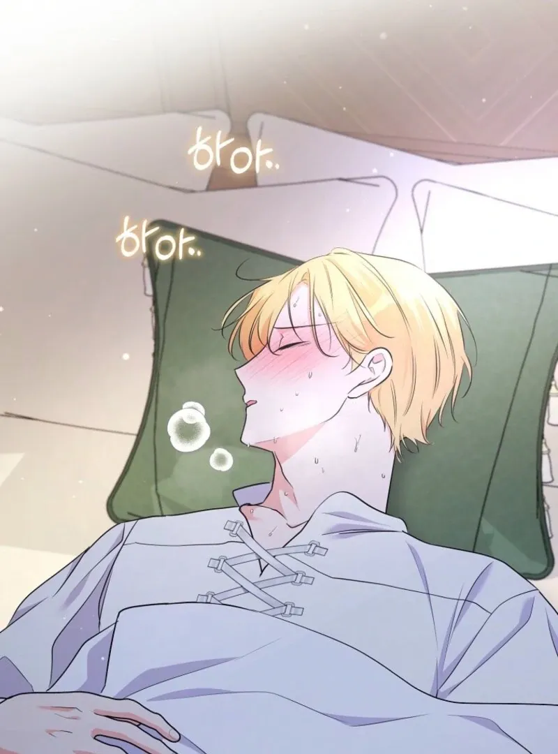 I Became The Male Leads’ Target Chapter 28 page 18 - 