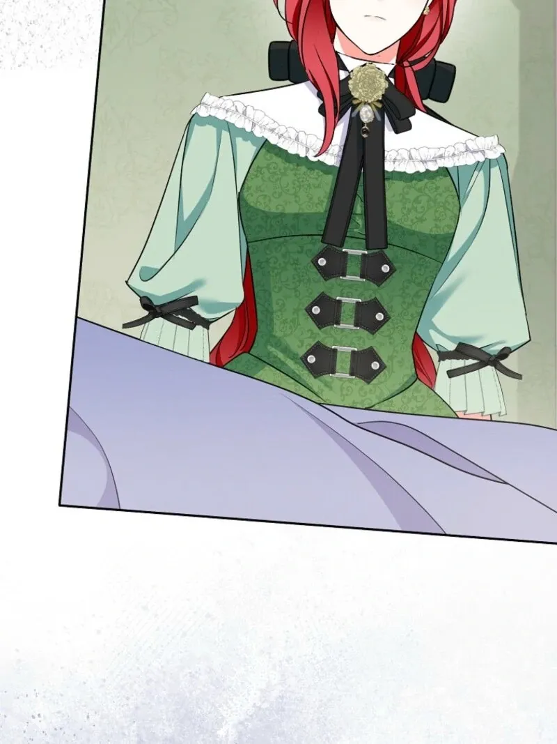 I Became The Male Leads’ Target Chapter 28 page 21 - 