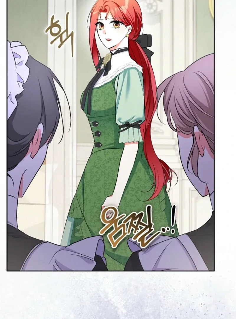 I Became The Male Leads’ Target Chapter 28 page 24 - 