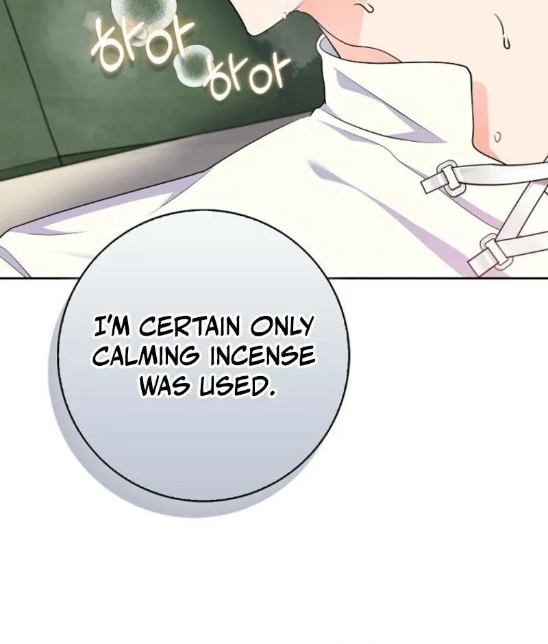 I Became The Male Leads’ Target Chapter 28 page 43 - 