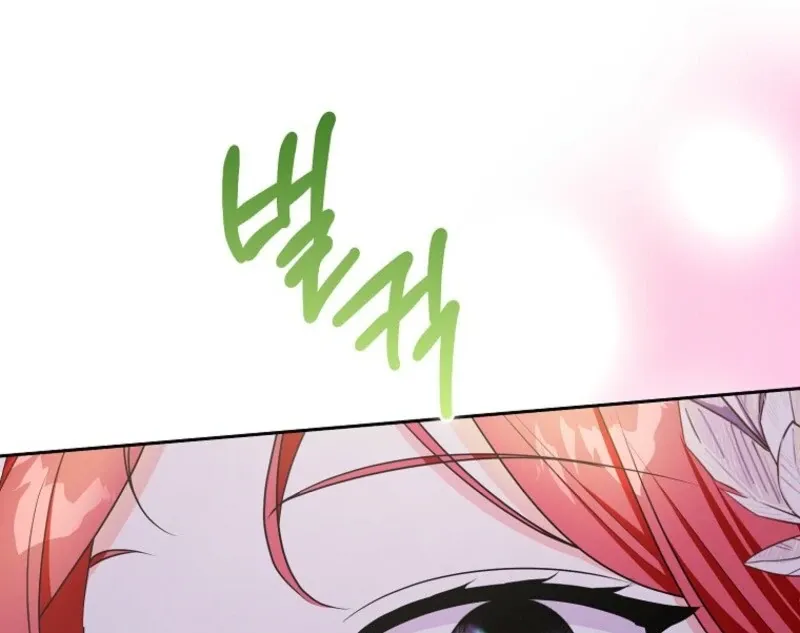 I Became The Male Leads’ Target Chapter 29 page 77 - 