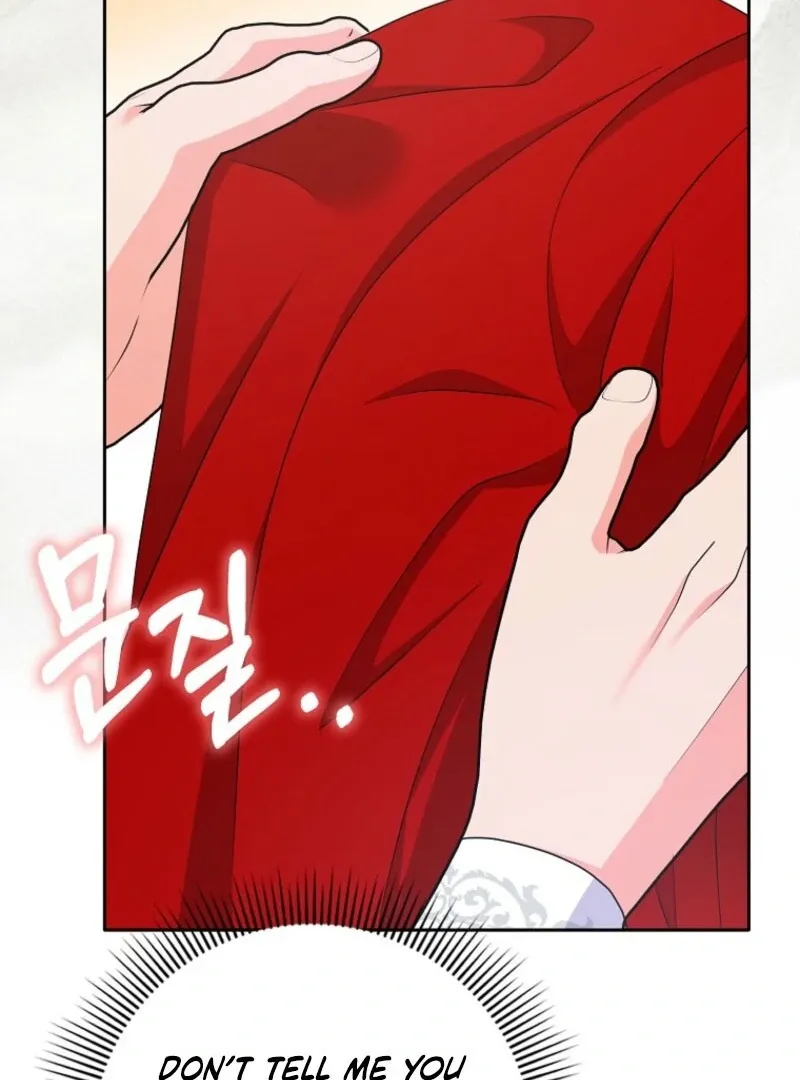 I Became The Male Leads’ Target Chapter 32 page 107 - 