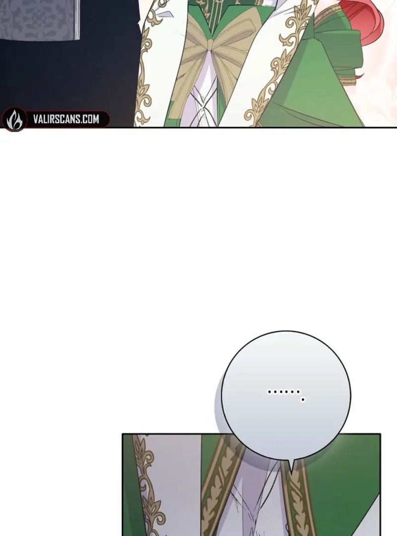 I Became The Male Leads’ Target Chapter 33 page 69 - 