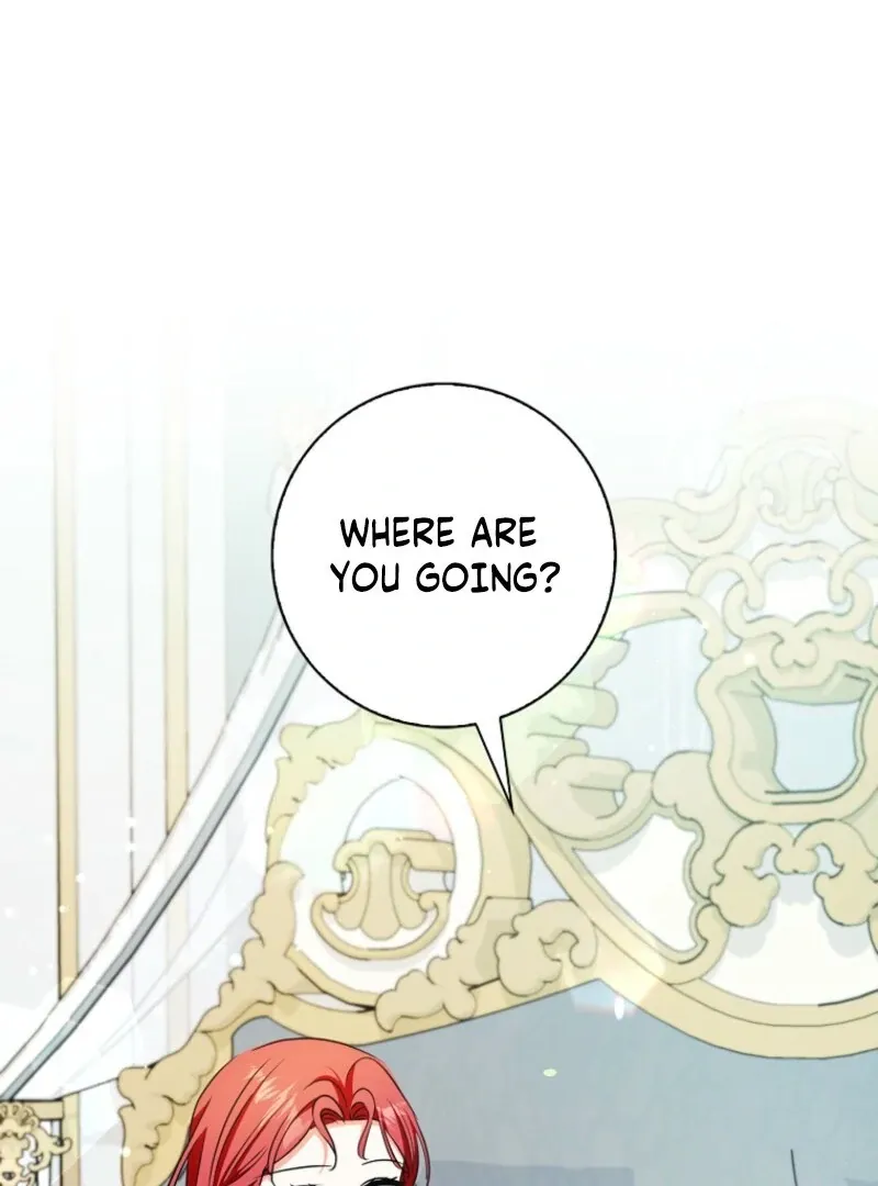 I Became The Male Leads’ Target Chapter 36 page 105 - 