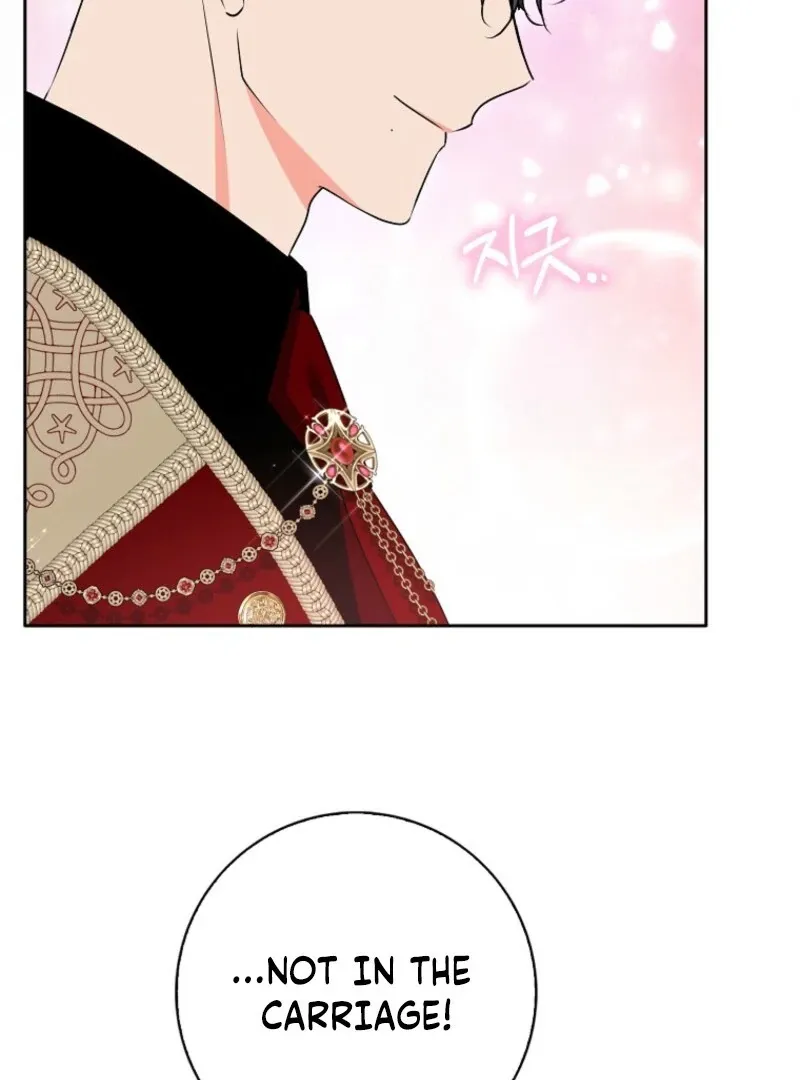 I Became The Male Leads’ Target Chapter 36 page 87 - 