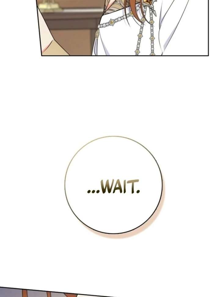 I Became The Male Leads’ Target Chapter 40 page 17 - 