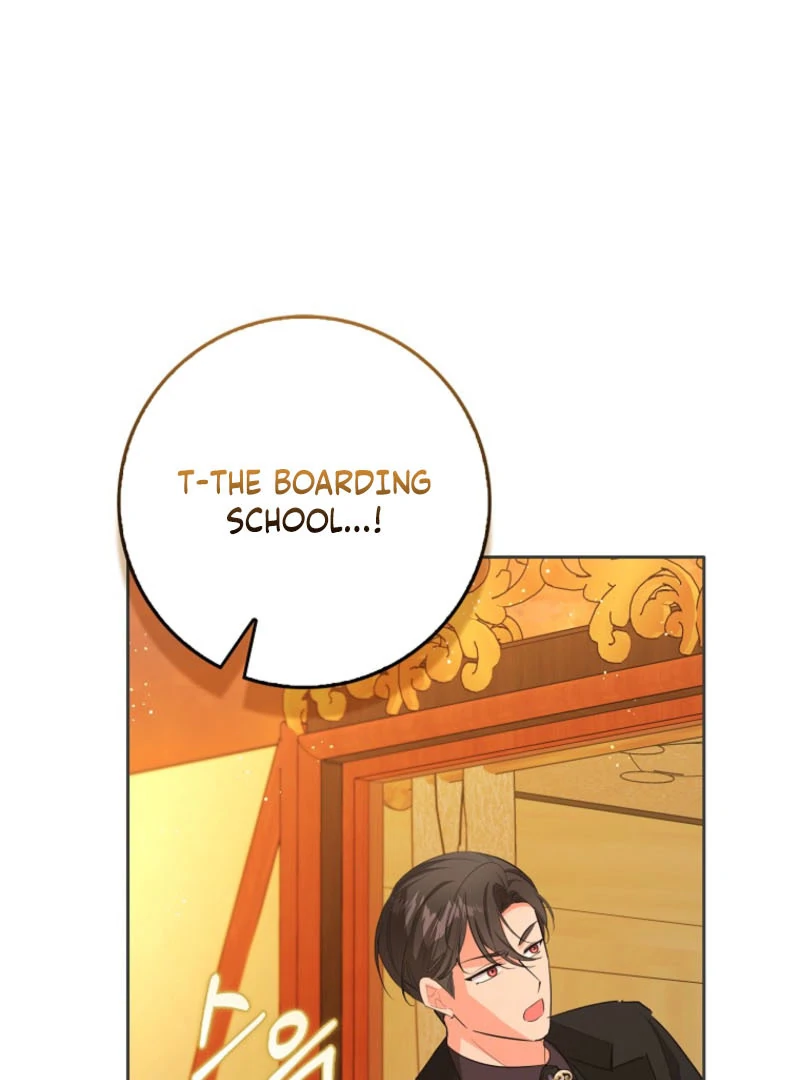 I Became The Male Leads’ Target Chapter 45 page 91 - 
