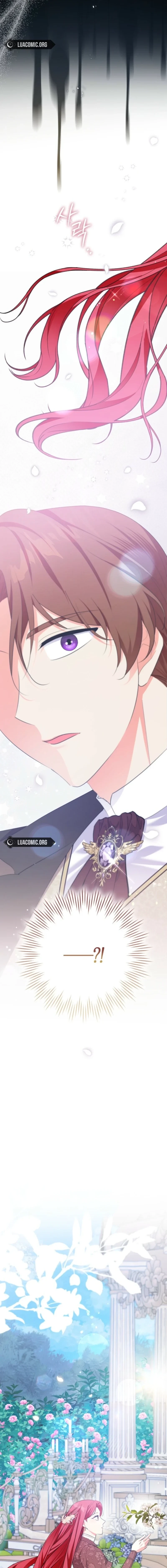 I Became The Male Leads’ Target Chapter 52 page 17 - 