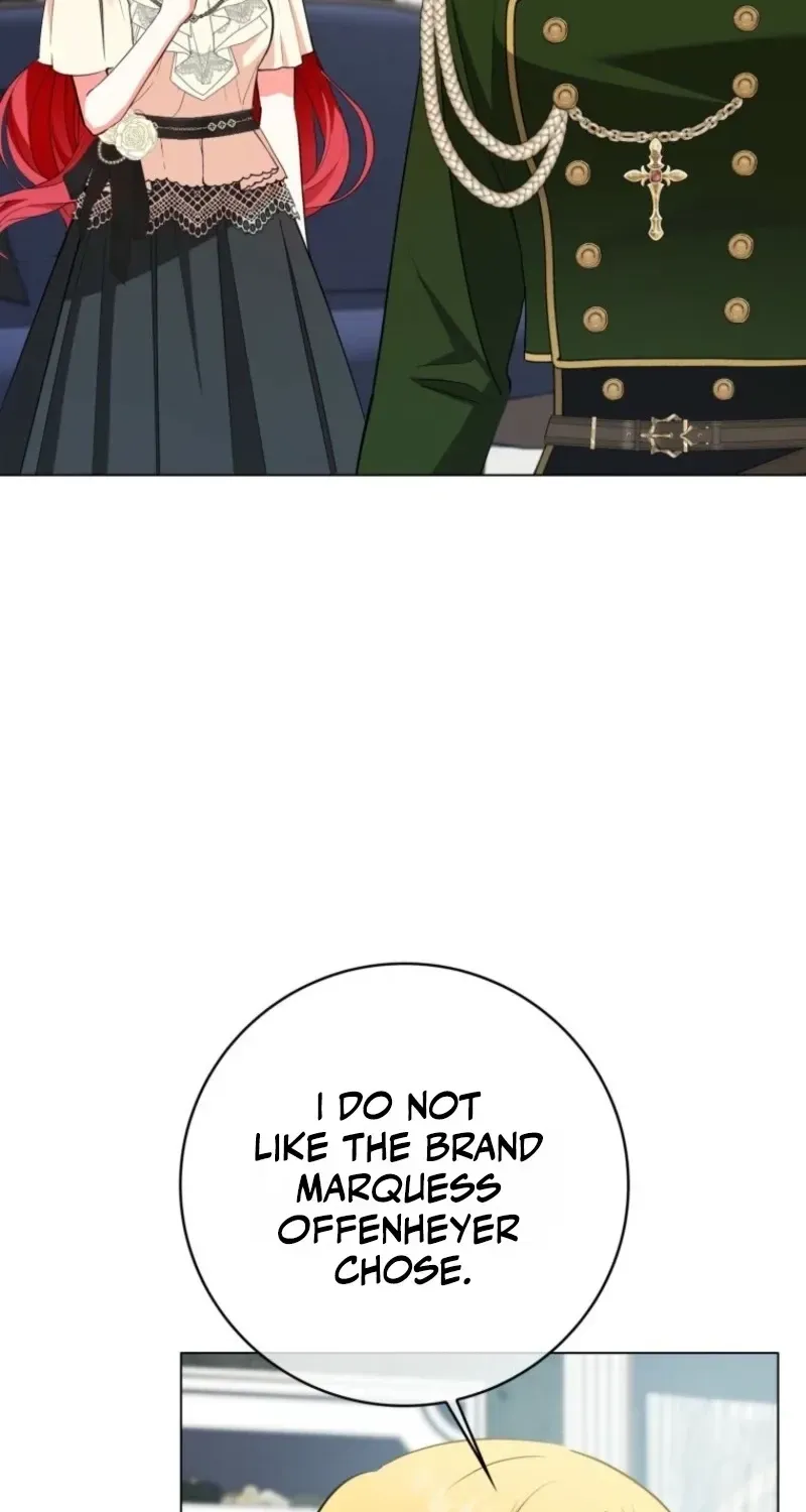 I Became The Male Leads’ Target Chapter 55 page 14 - 