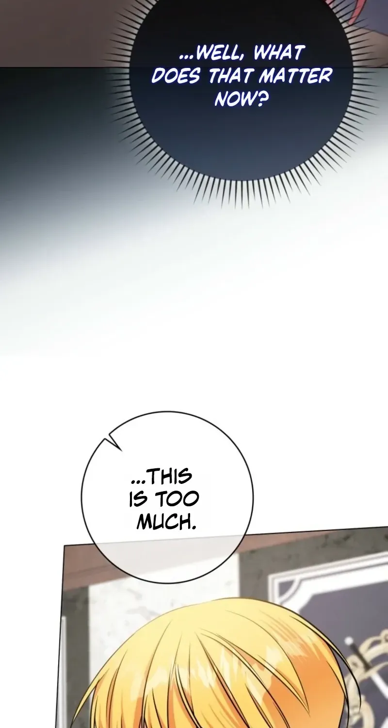 I Became The Male Leads’ Target Chapter 55 page 17 - 