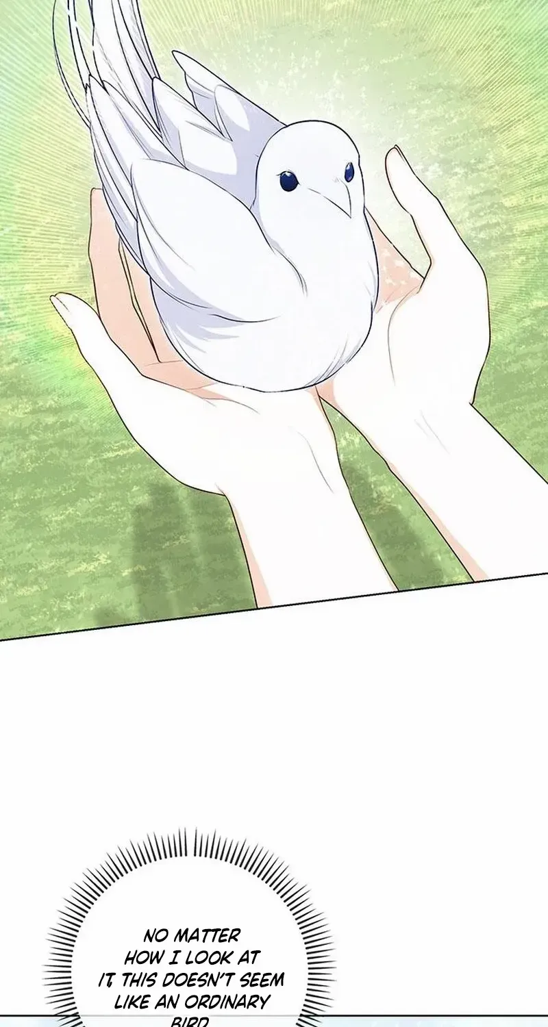 I Became the Mother of the Supporting Male Lead’s Son Chapter 15 page 76 - 