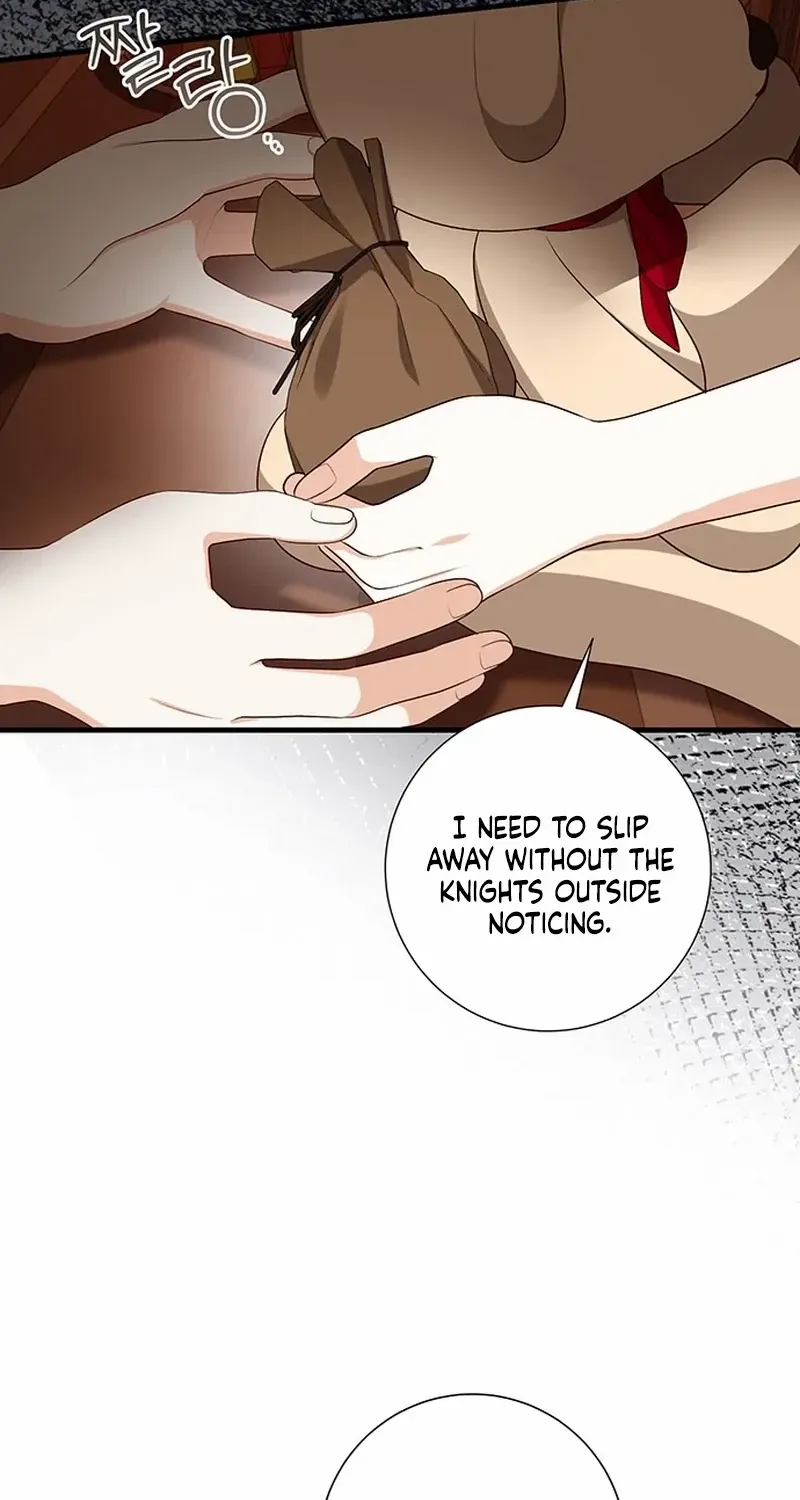 I Became the Mother of the Supporting Male Lead’s Son Chapter 18 page 13 - 