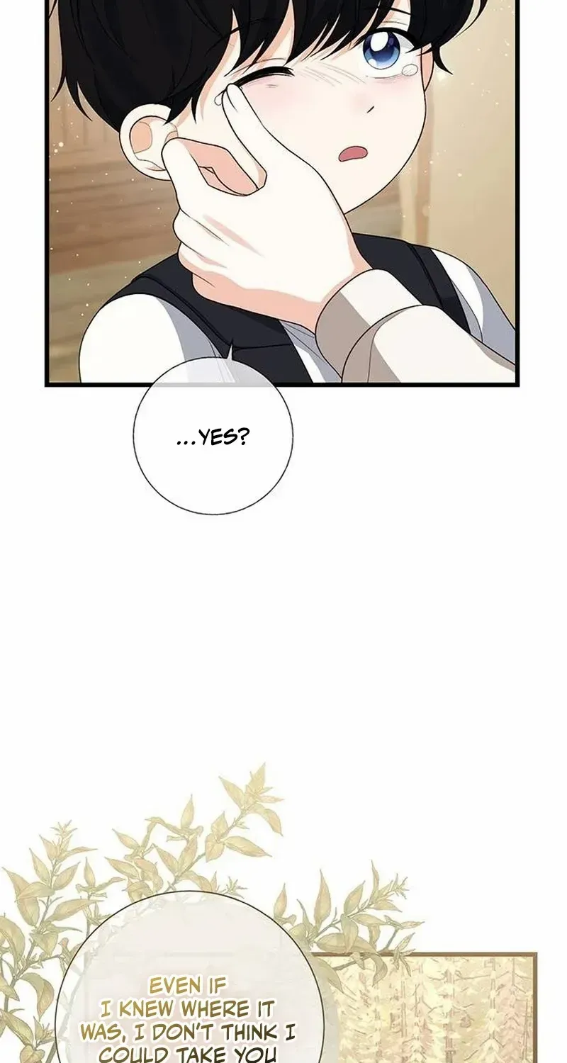 I Became the Mother of the Supporting Male Lead’s Son Chapter 2 page 35 - 
