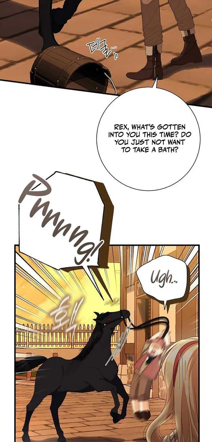 I Became the Mother of the Supporting Male Lead’s Son Chapter 20 page 47 - 