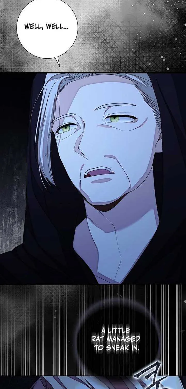 I Became the Mother of the Supporting Male Lead’s Son Chapter 21 page 47 - 