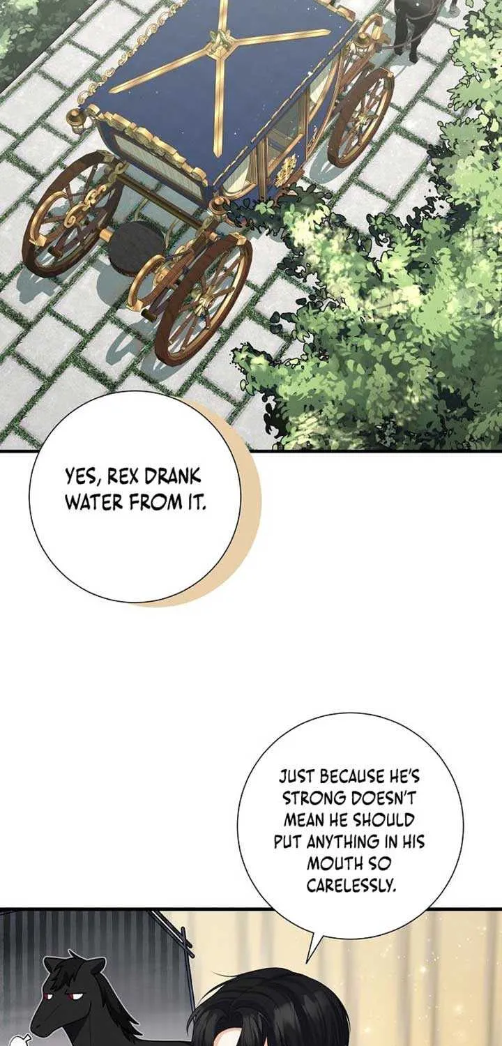 I Became the Mother of the Supporting Male Lead’s Son Chapter 23 page 42 - 