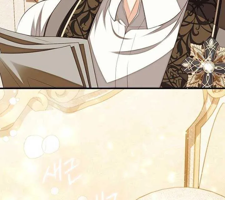 I Became the Mother of the Supporting Male Lead’s Son Chapter 28 page 64 - 