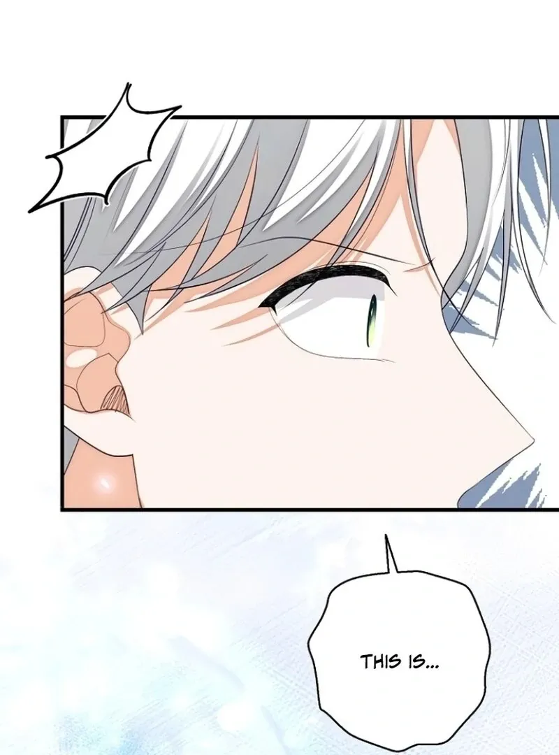 I Became the Mother of the Supporting Male Lead’s Son Chapter 39 page 49 - 