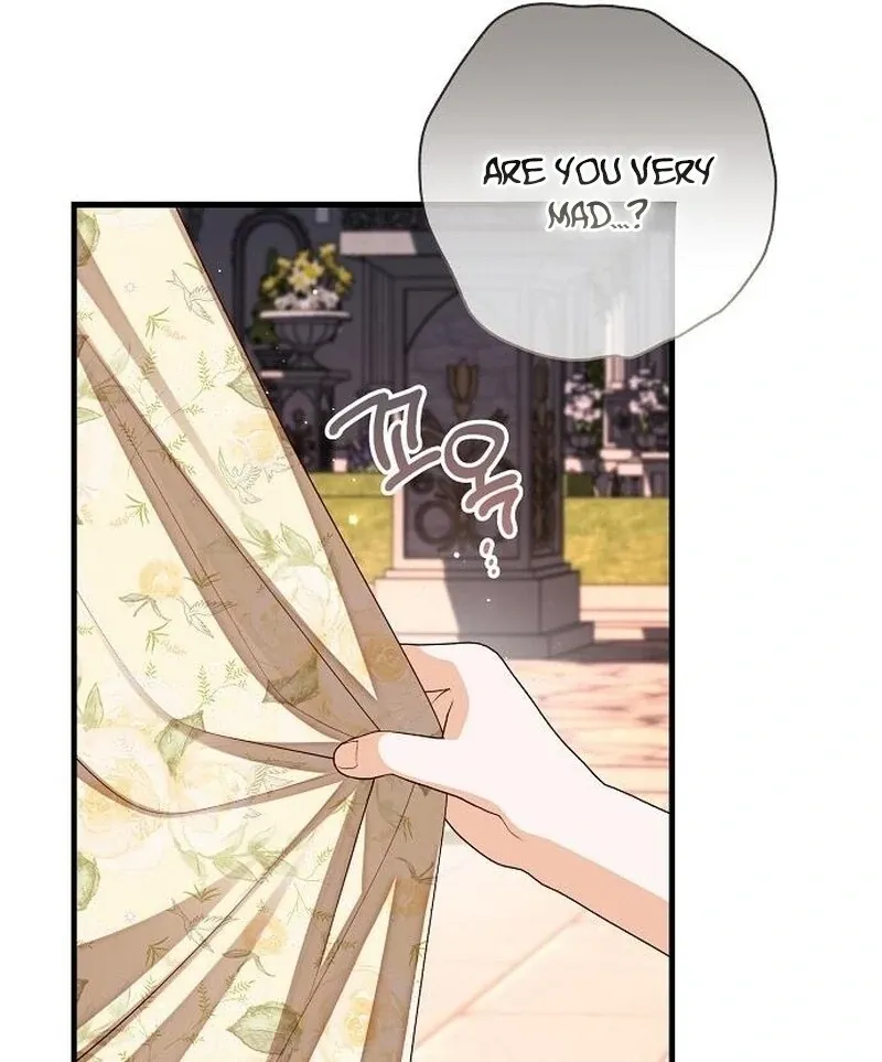 I Became the Mother of the Supporting Male Lead’s Son Chapter 42 page 27 - 