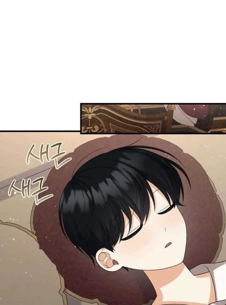 I Became the Mother of the Supporting Male Lead’s Son Chapter 43 page 49 - 