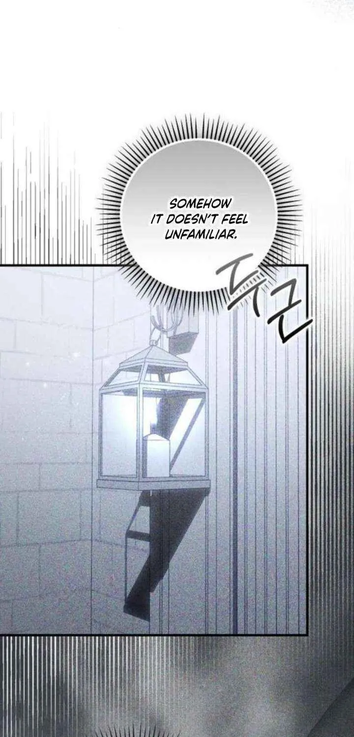 I Became the Mother of the Supporting Male Lead’s Son Chapter 47 page 26 - 